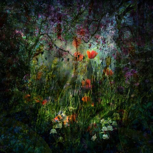 MixedForest No.87 | 95 x 95 cm