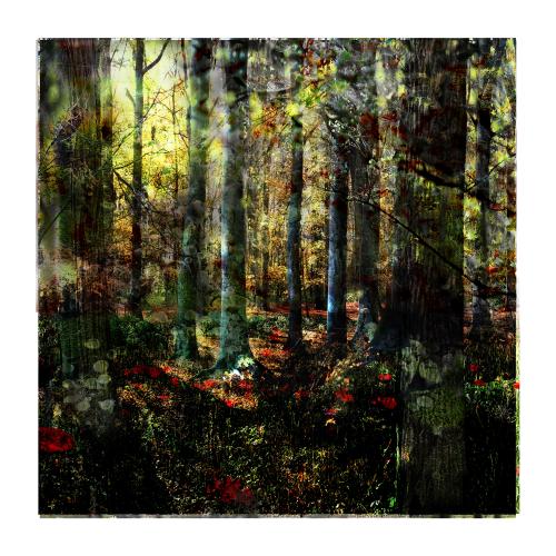 MixedForest No.19 | 95 x 95 cm