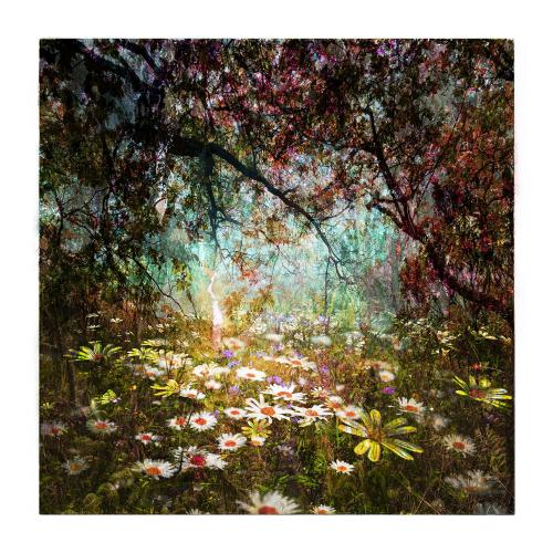 MixedForest No.70 | 95 x 95 cm