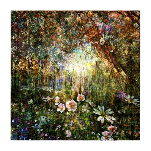 MixedForest No.77 | 95 x 95 cm