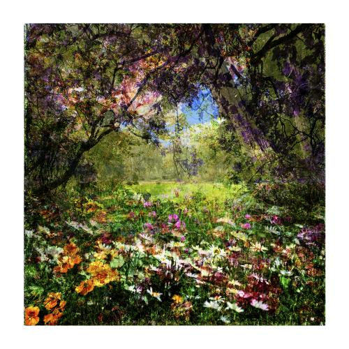 MixedForest No.78 | 95 x 95 cm