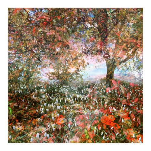 MixedForest No.81 | 95 x 95 cm