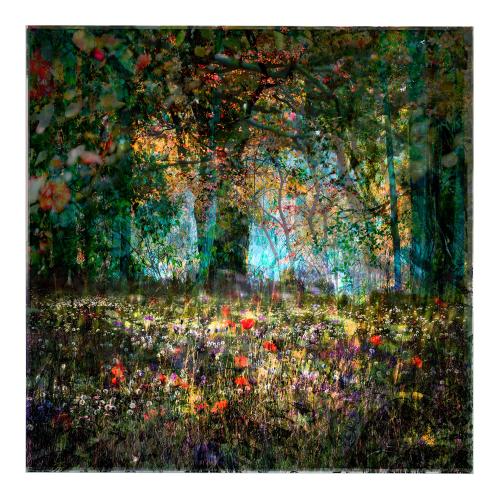 MixedForest No.83 | 95 x 95 cm